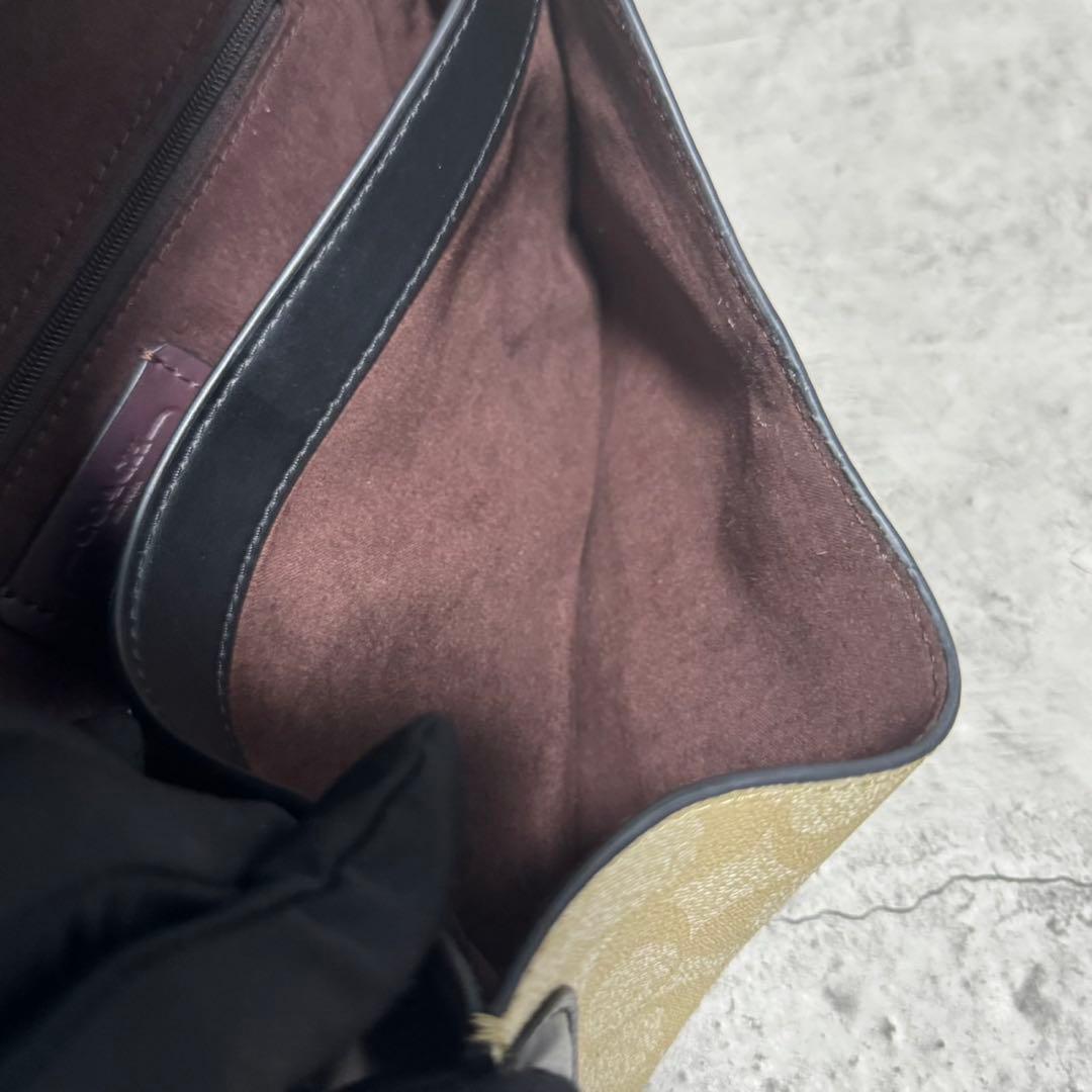 極美品✨️コーチ ワンショルダーバッグ ジョージ タビー PVC レザー 蛇柄 黒