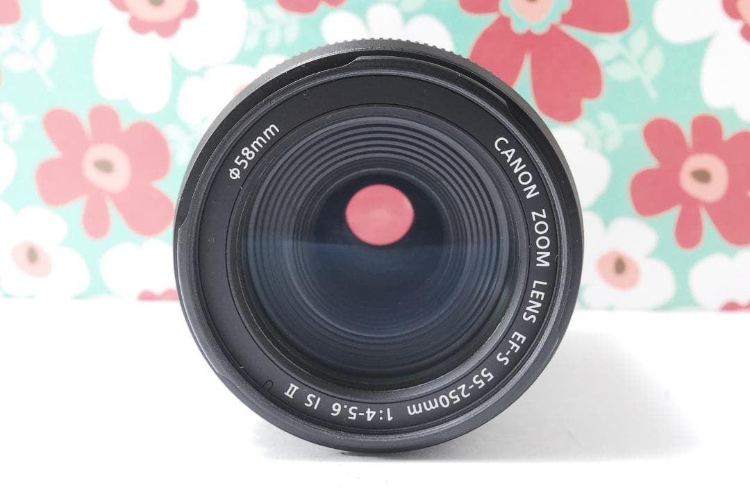 ❤Canon EF-S 55-250mm F5.6 IS II❤手振れ補正❤