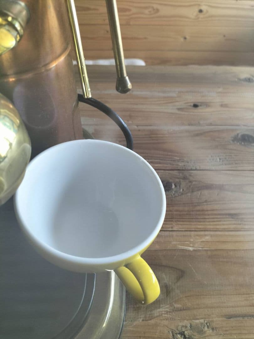 La Pavoni パボーニ プロフェッショナル 真鍮製手動エスプレッソマシン