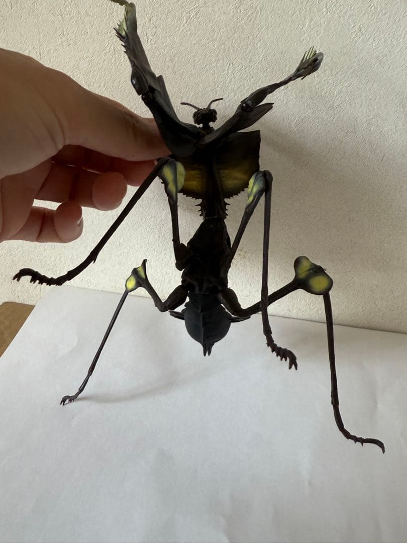 シ*ン様 いきもの大図鑑アドバンス　ニセハナマオウカマキリコンプリート