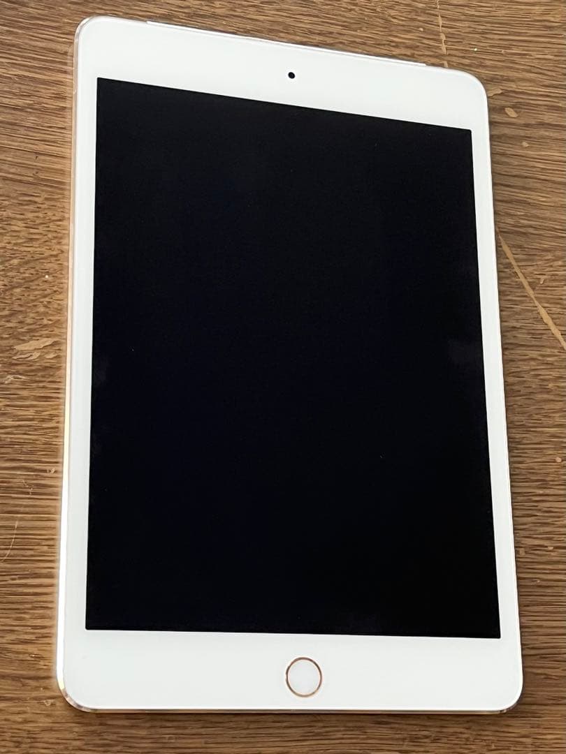 iPad本体 Apple iPad mini 4 128G