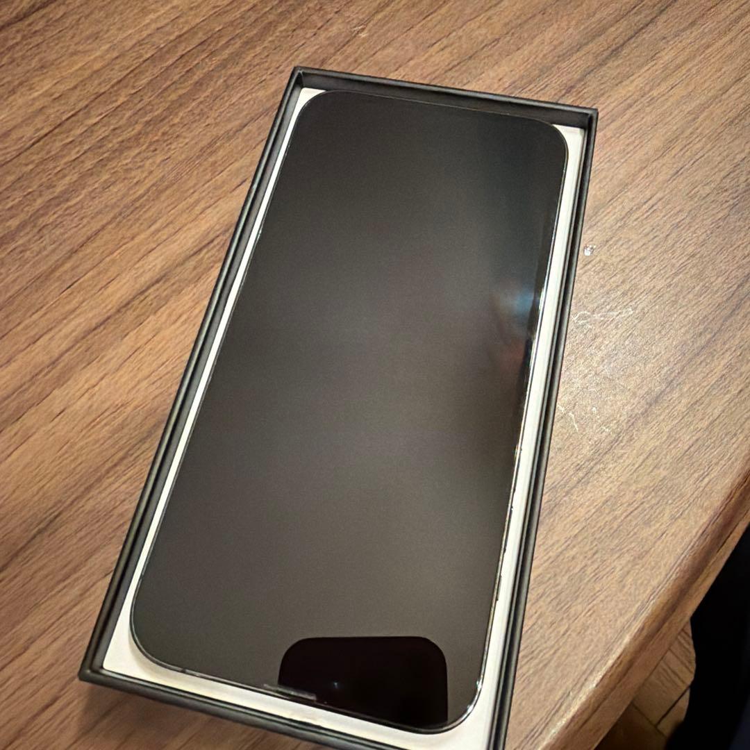 Apple iPhone 13Pro max 本体のみ