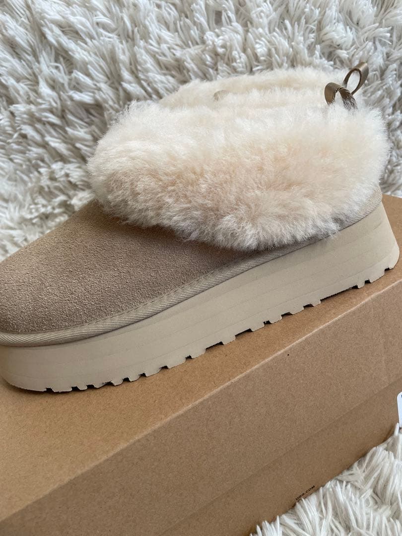 UGG Tazzelleタゼル　24cm 新品未使用⑅◡̈⃝*snidelコラボ