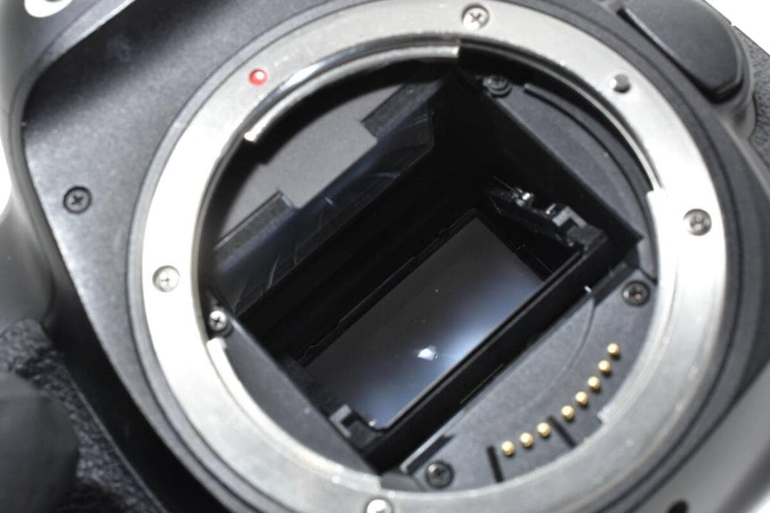 ★美品★ CANON キヤノン EOS 5D Mark Ⅳ ボディ #1076