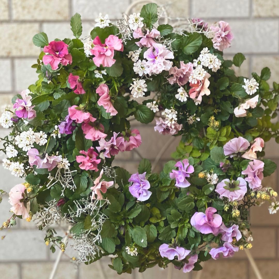 ＊ニュアンスカラーのビオラと小花の寄せ植えリース＊