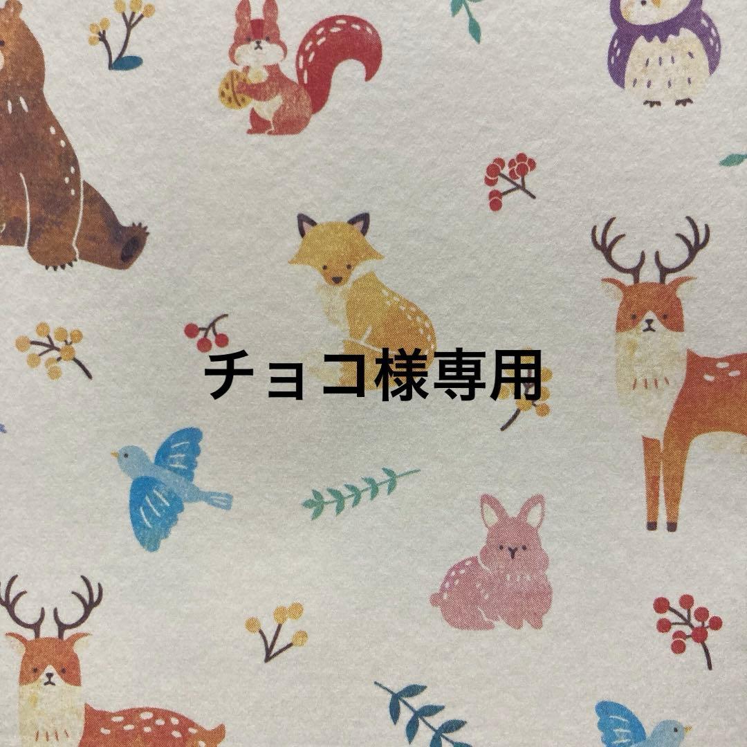 サキナ各種