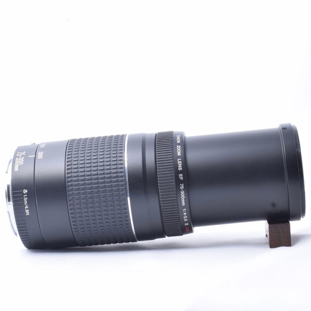 ✨️超豪華セット✨️Canon Kiss X7i 超望遠ダブルレンズセット❣️