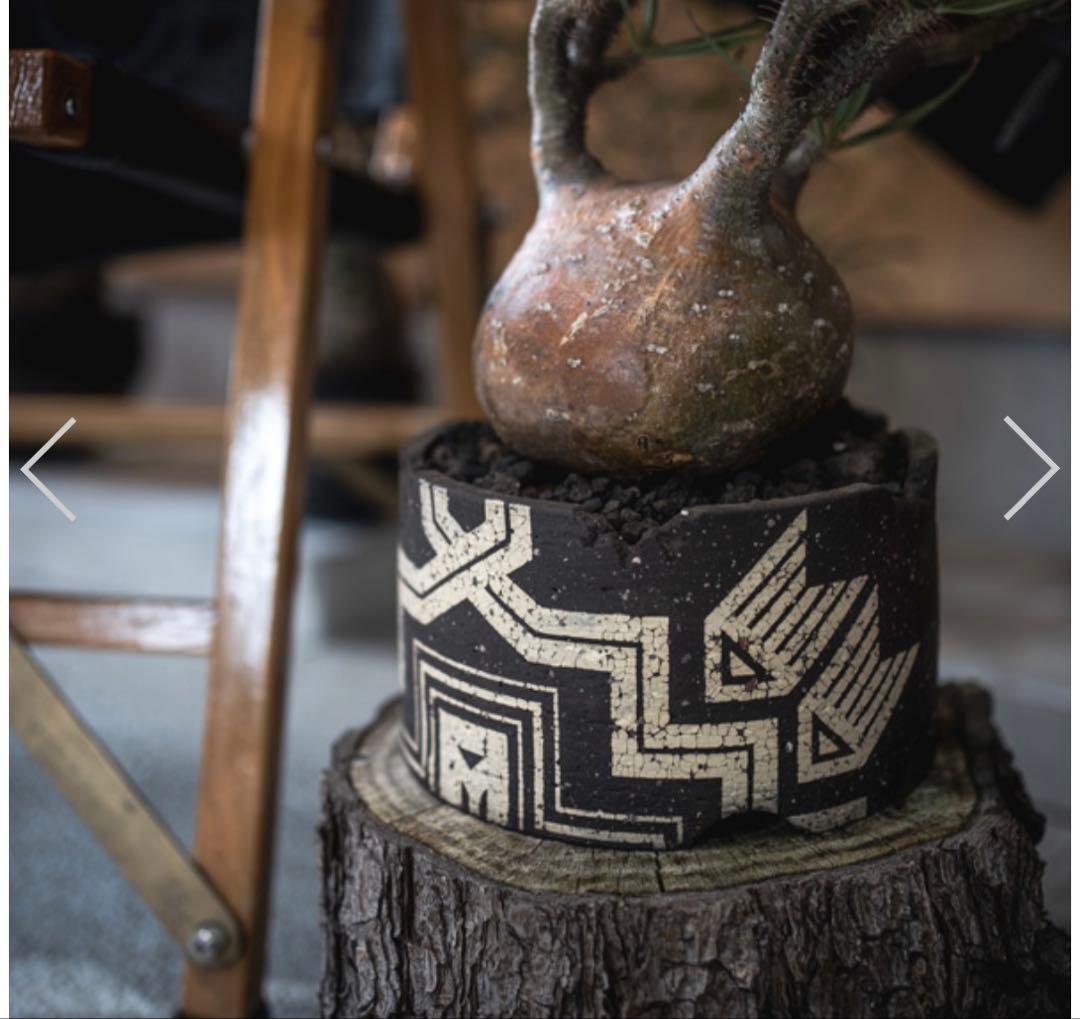 SEN鉢　oldmountain × BOTANIZE GOUJIN クリーム