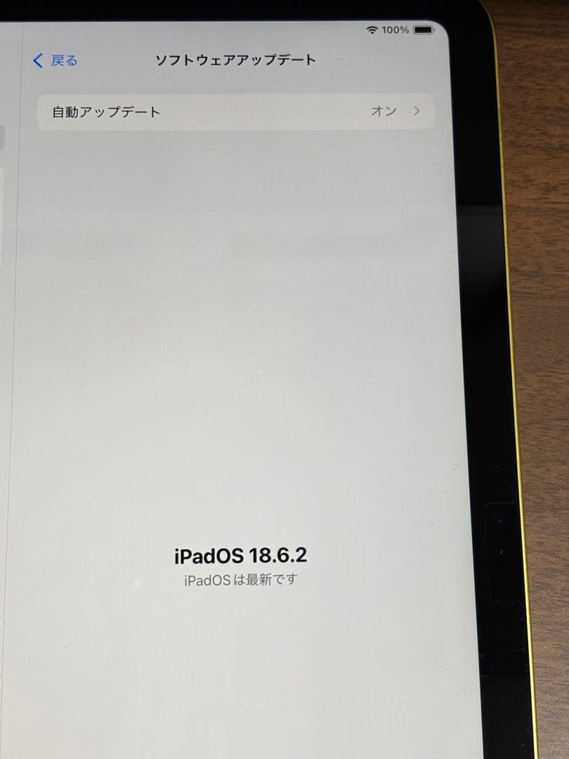 iPad 第10世代　64GB イエロー　【美品】