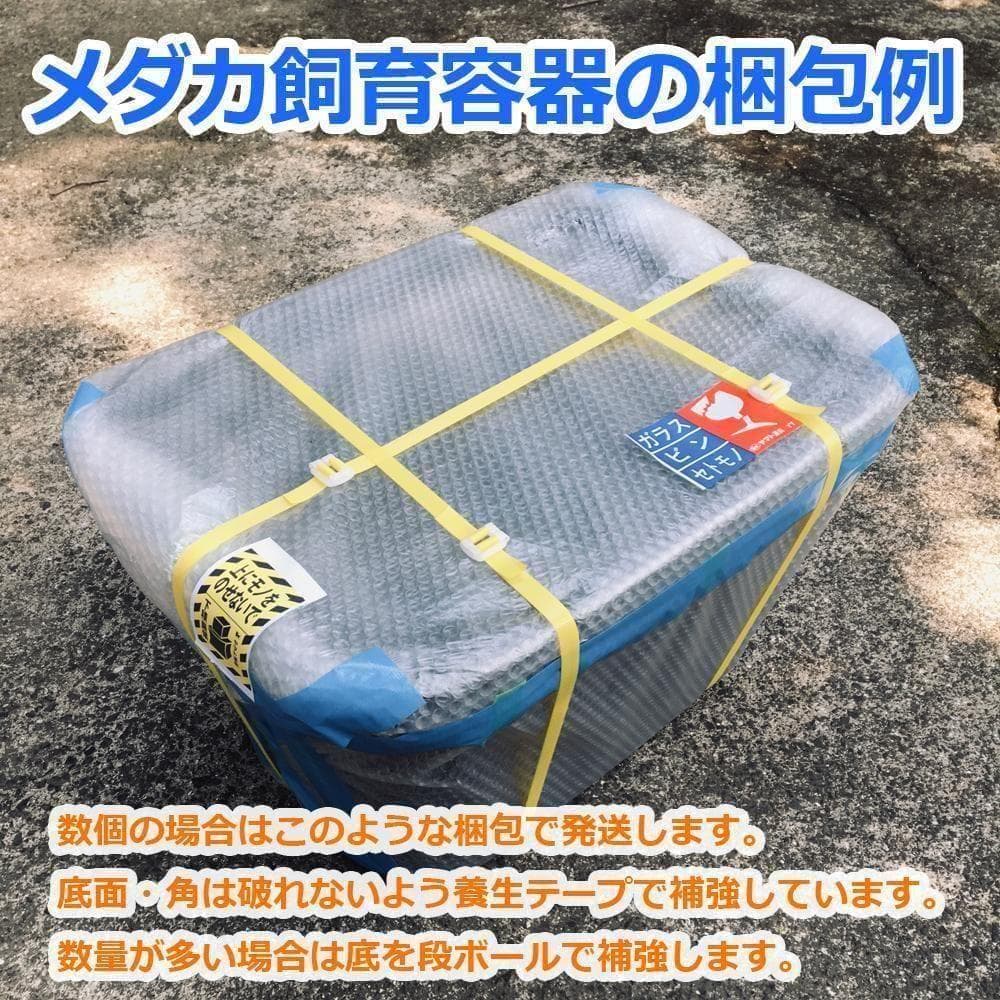メダカ飼育ケース 56㍑x3個 白黒灰あり 大雨対策 金魚飼育容器 メダカ鉢