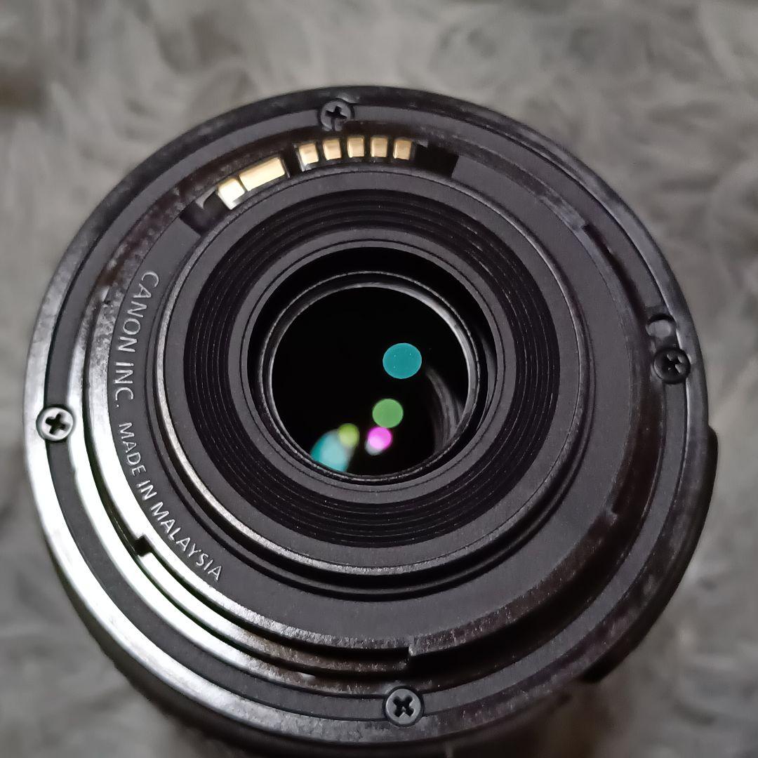 Canon EF-S55-250mm F4-5.6 IS STM 望遠レンズ