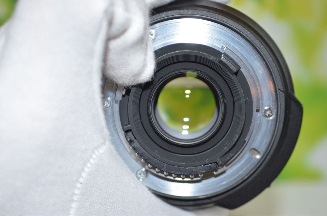 美品 ニコン Nikon AF-S DX 18-200㎜☆近距離から望遠まで！