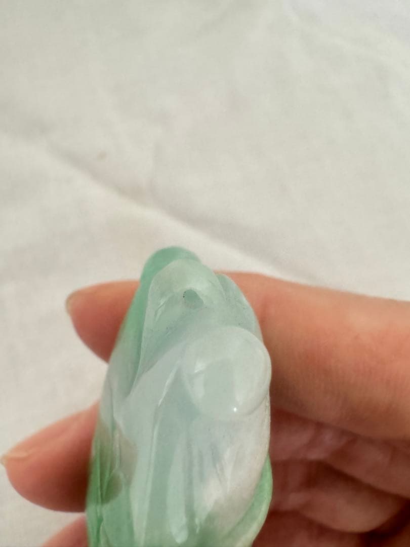 翡翠トップ 蝉
