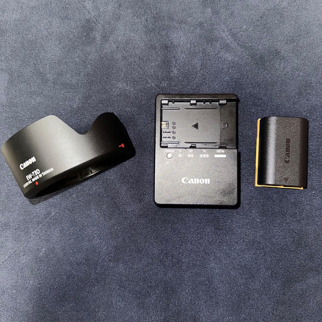 Canon EOS 80D デジタル一眼レフ※おまけ付き