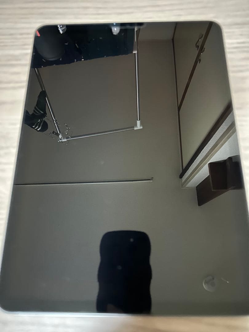 iPad本体 iPad Pro