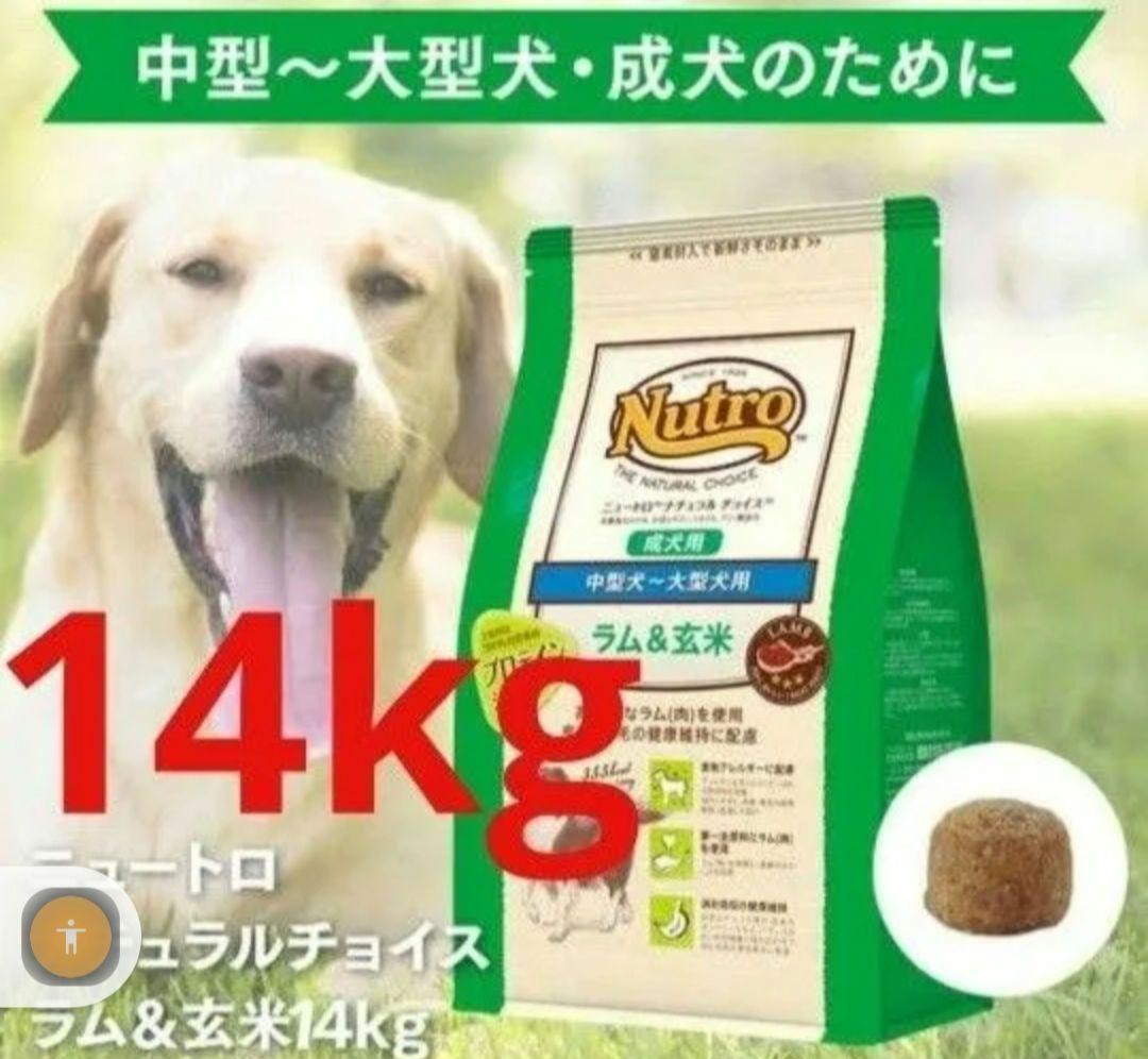 ニュートロナチュラルチョイスラム＆玄米 中型〜大型犬 成犬用 14kg