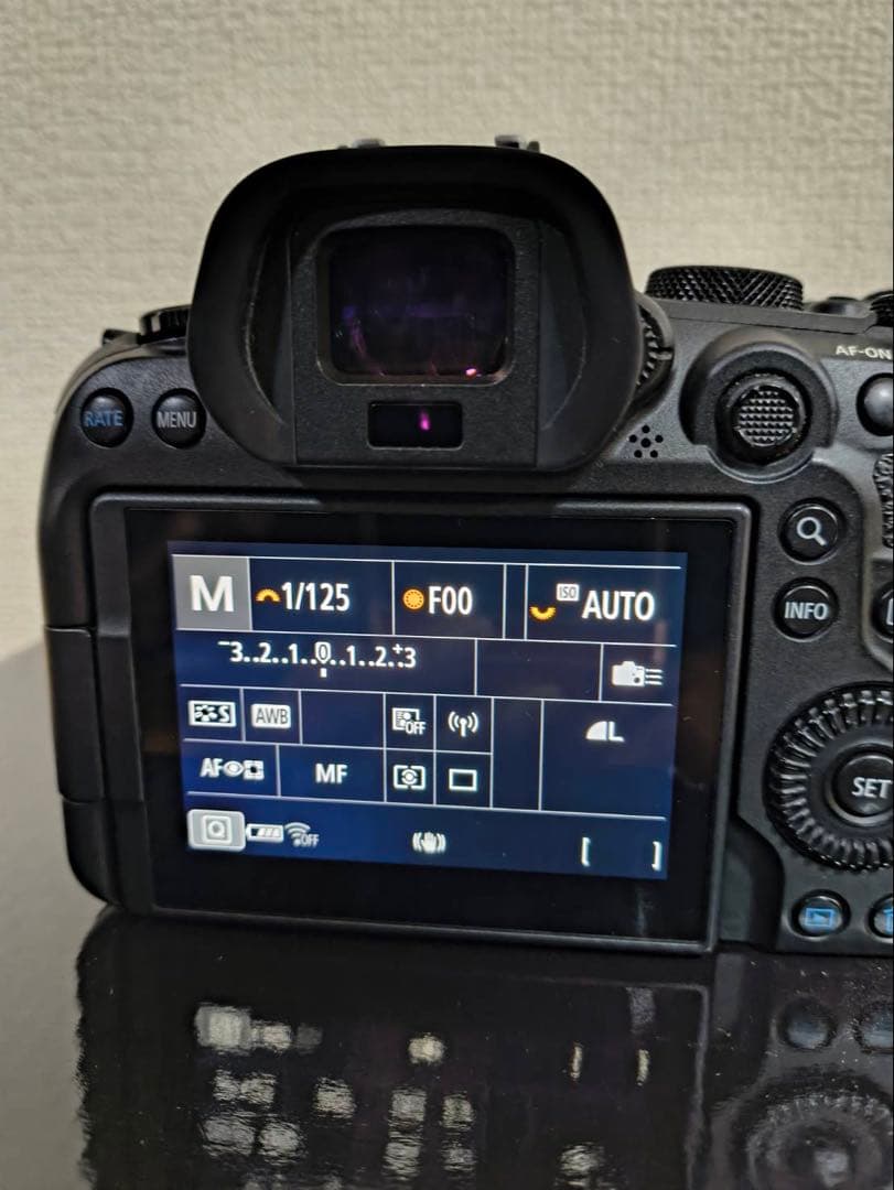 Canon EOS R6 本体