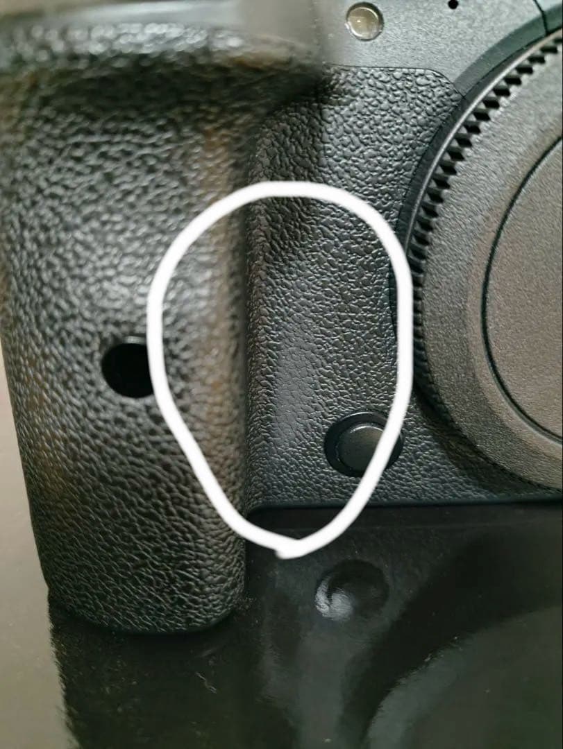 Canon EOS R6 本体