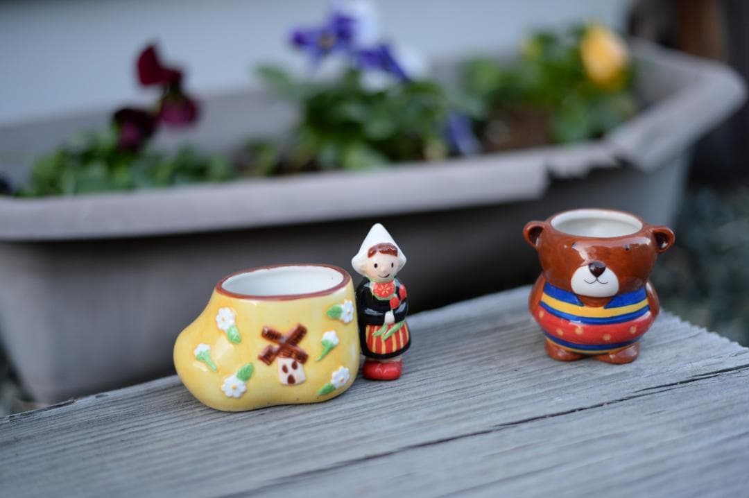 Nikon DF Special Edition シルバー　レンズ付