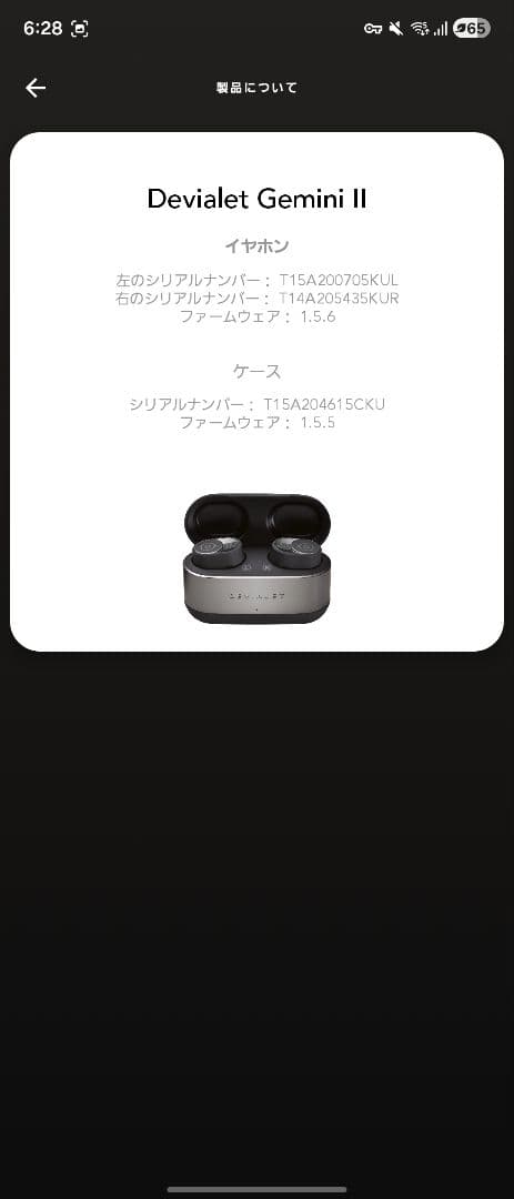 Devialet Gemini II ワイヤレスイヤフォン レザーケース付き