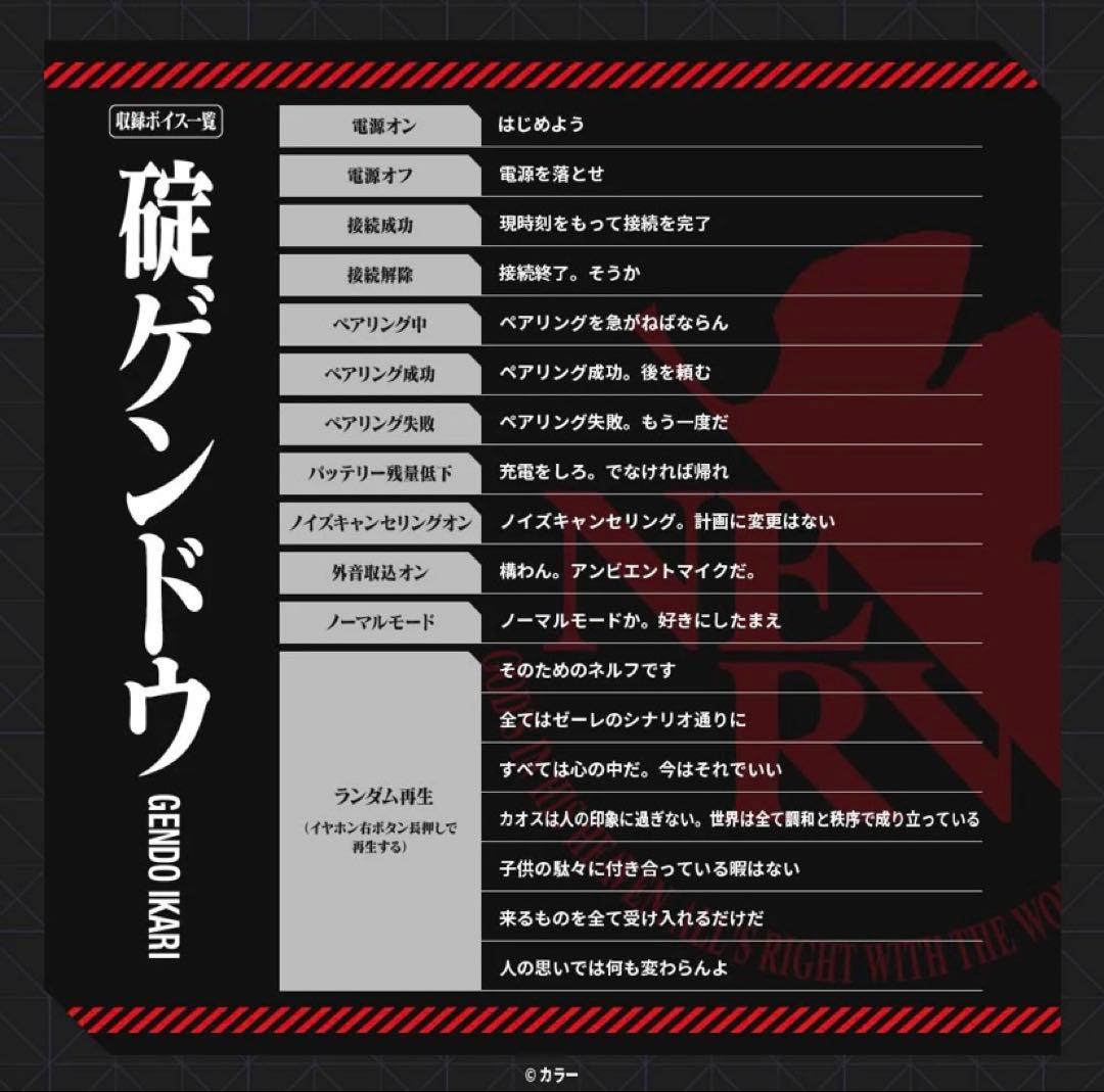 TE-V1R-EVA AVIOT ワイヤレスイヤホン