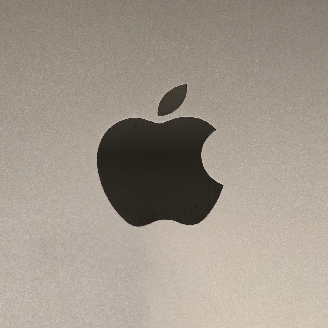 iPad本体 iPadPro11 Wi-Fi+Cellular 256GB