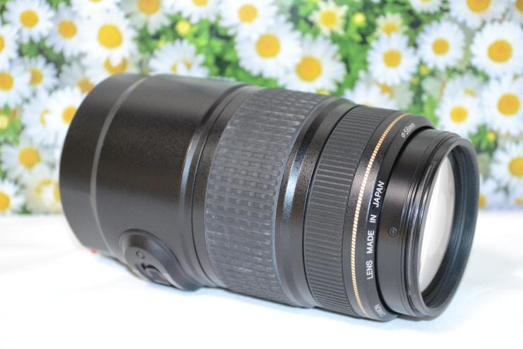 ❤️美品❤️Canon EF 75-300mm IS USM❤️超望遠❤️人気