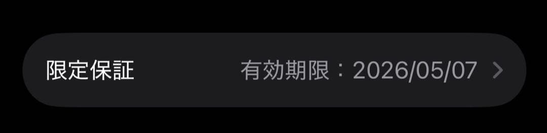 極美品　AirPods Pro (第2世代) 本体 USB-C
