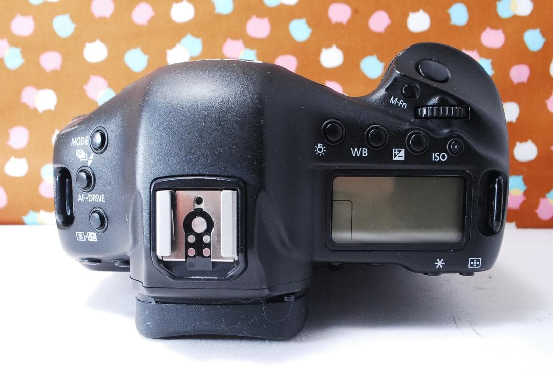 ✨付属品充実✨元箱付き✨Canon EOS-1DX ボディ