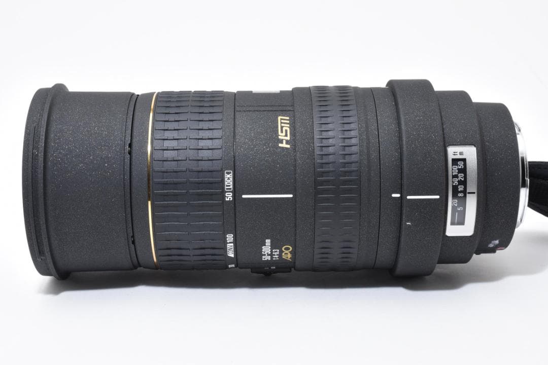 【大迫力！超望遠】SIGMA 50-500mm DG OS HSM キャノン用