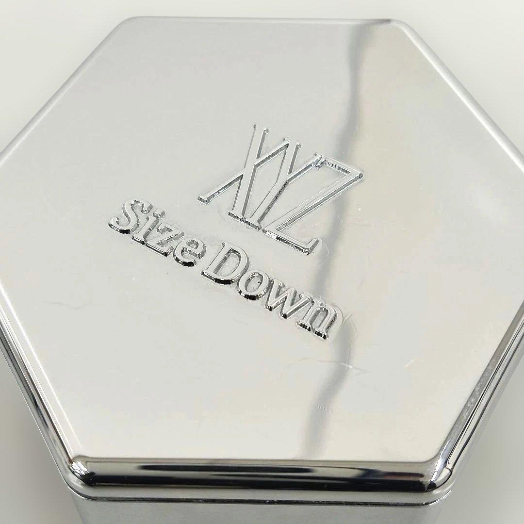 サイズダウン レボリューション 旧タイプロゴ 2個セット