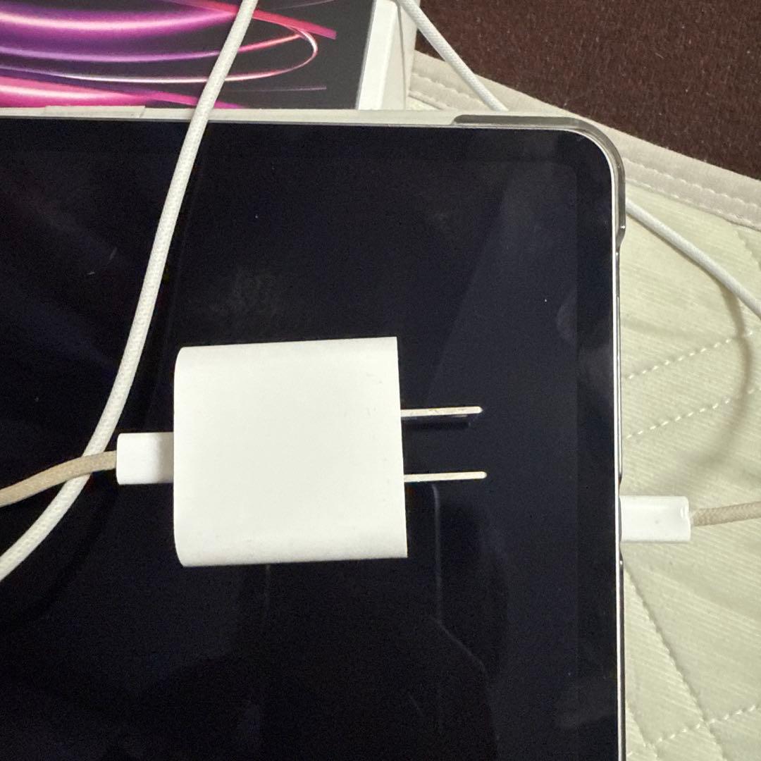 iPad Pro 11インチ (第4世代) WiFiモデル