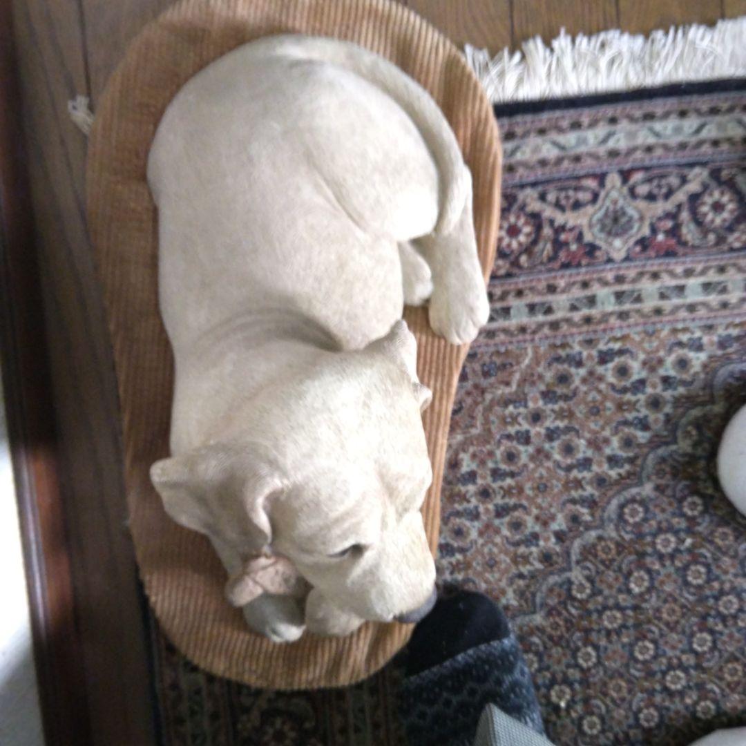 犬の彫刻 樹脂製 クリーム色