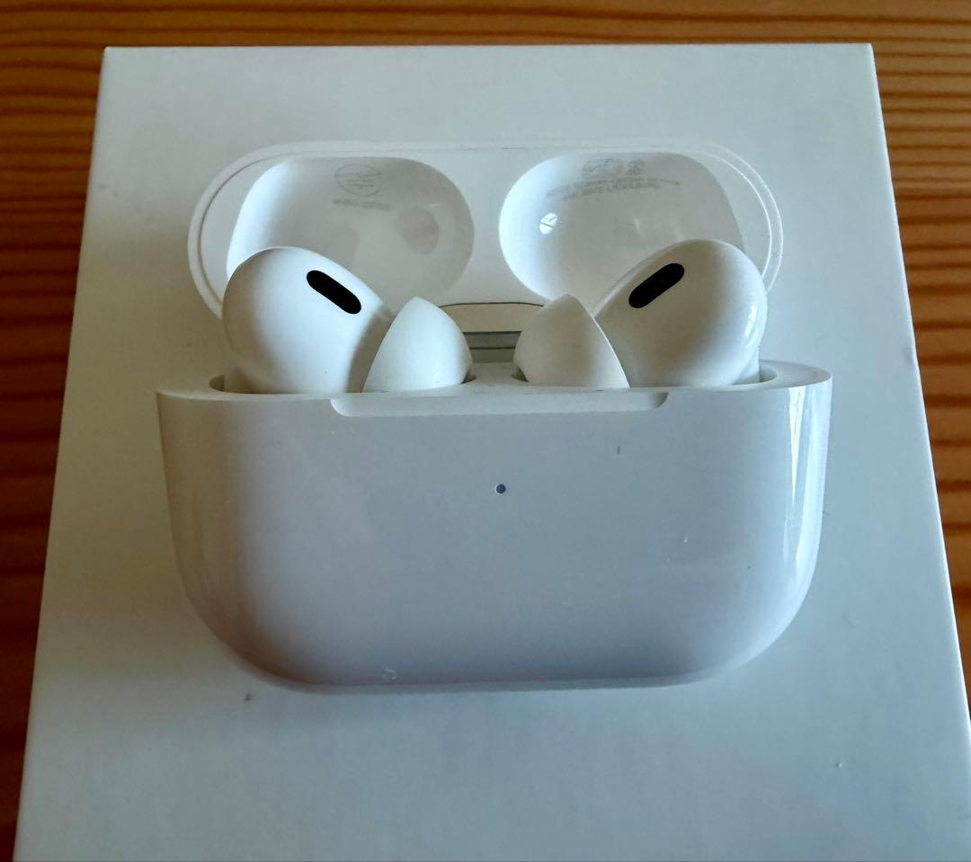 Apple AirPods Pro 2 アップル プロ カーボンケース付