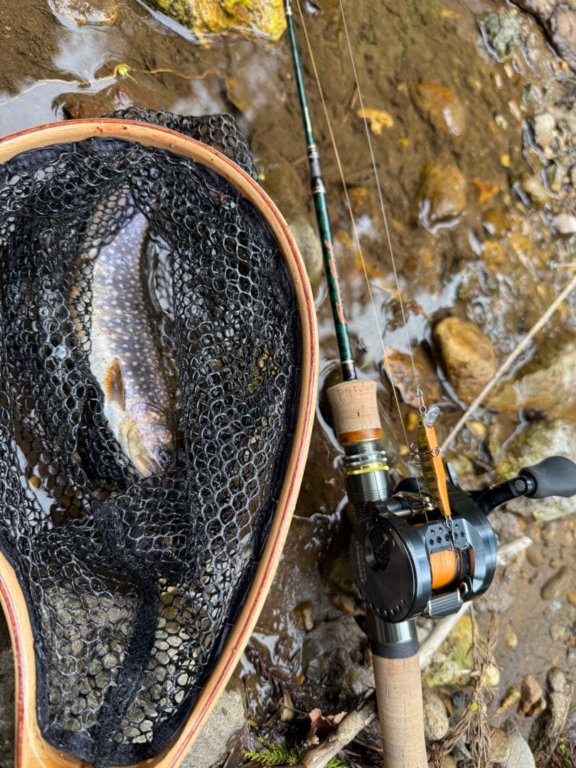 Calcutta Conquest 30HG ベイトリール