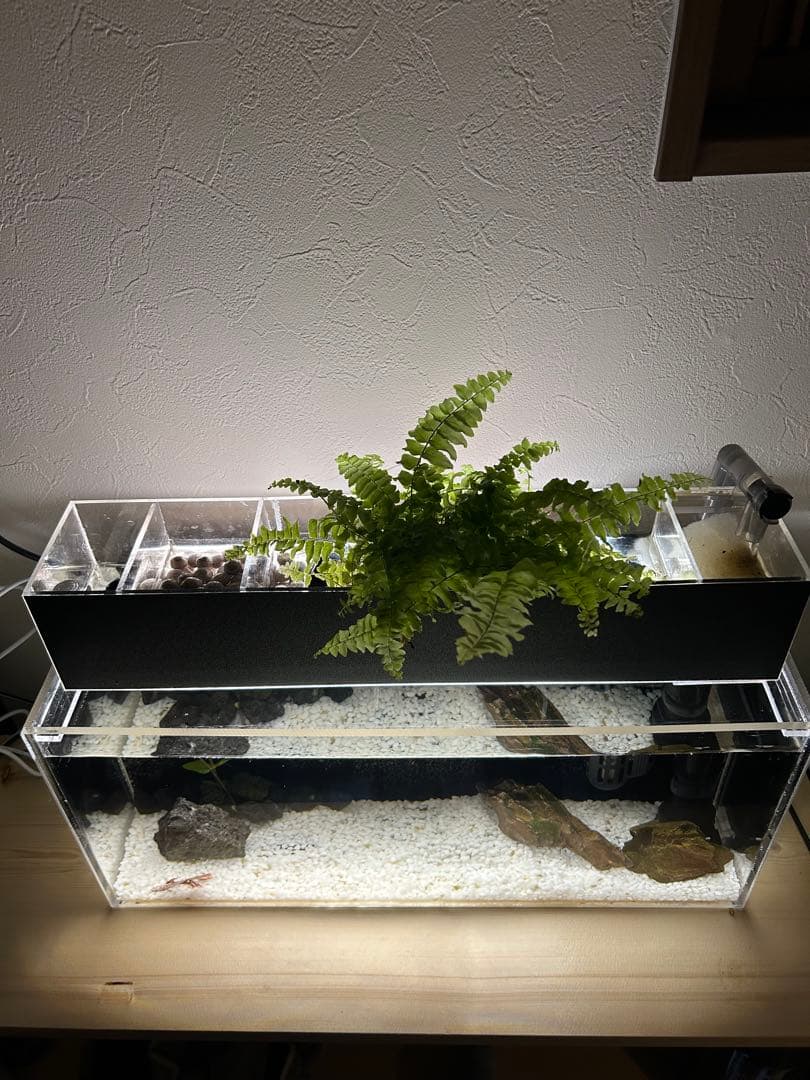 【格安】アクリル製ベタポニックス水槽