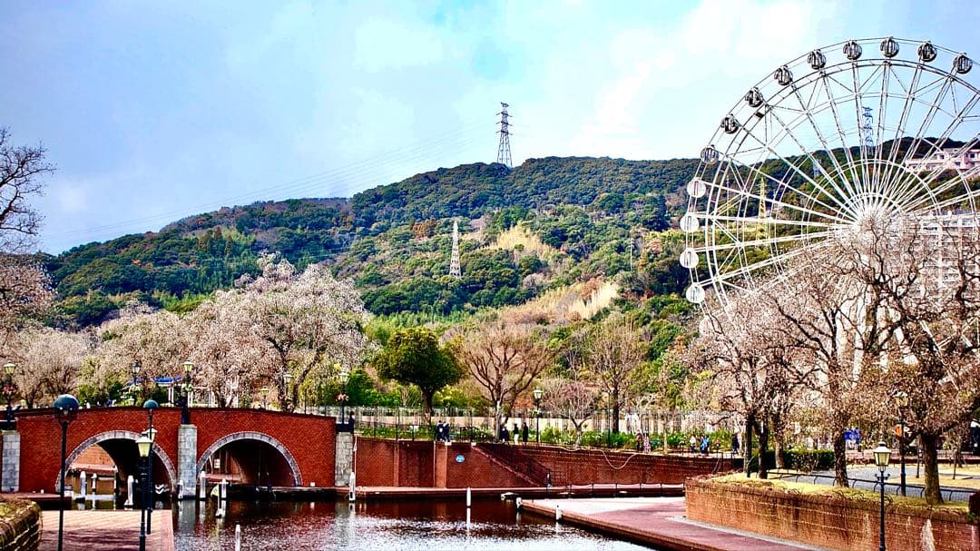 SONY α200 デジタル一眼レフカメラ 本体