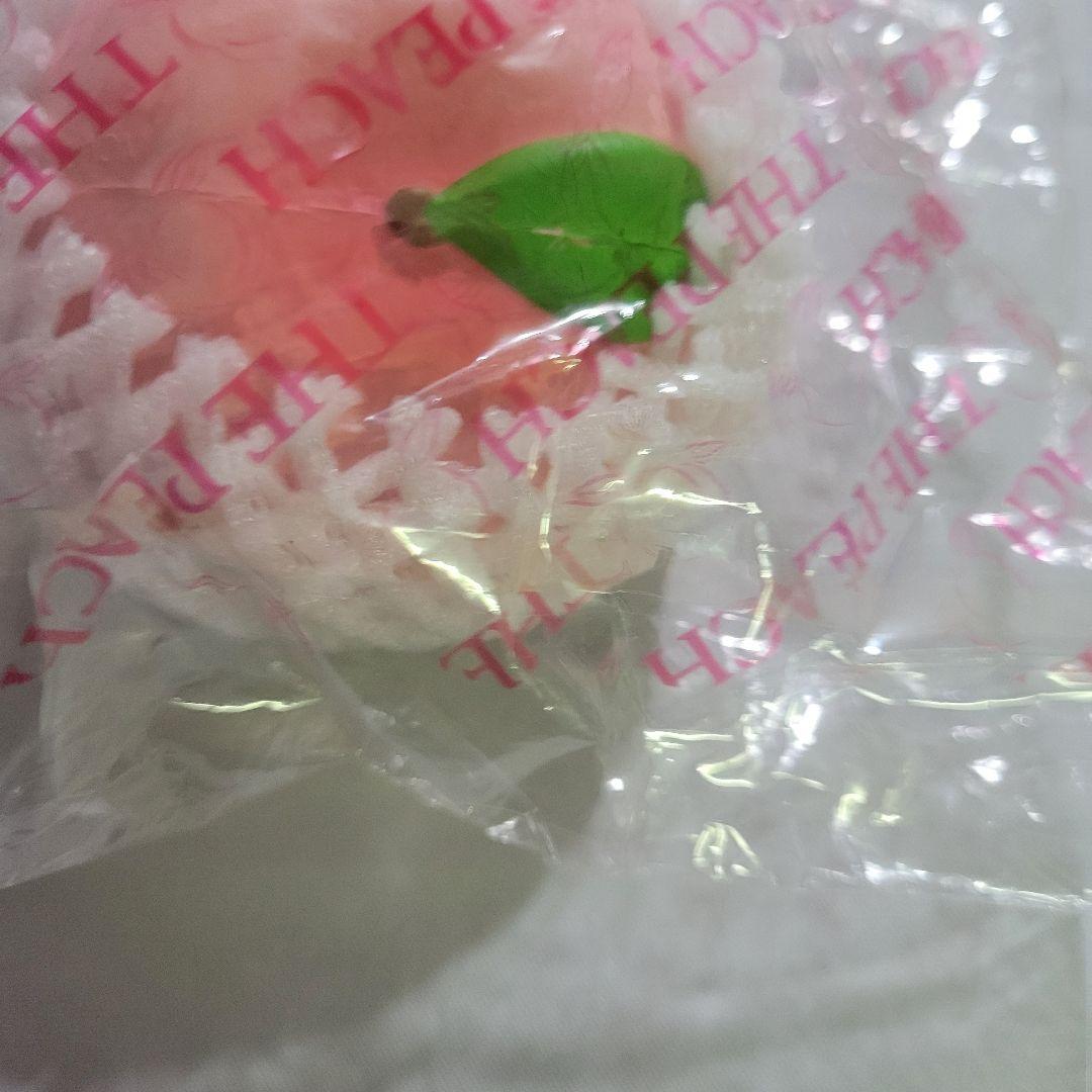 [SP101]オールドブルーム　桃　ピーチ　スクイーズ　レア