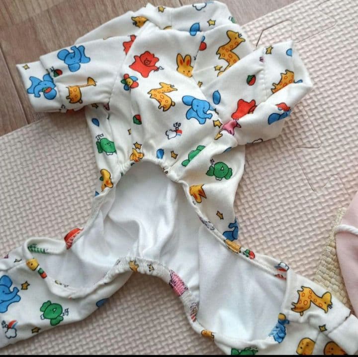 子犬セット　Wi-Fiペットカメラおまけ