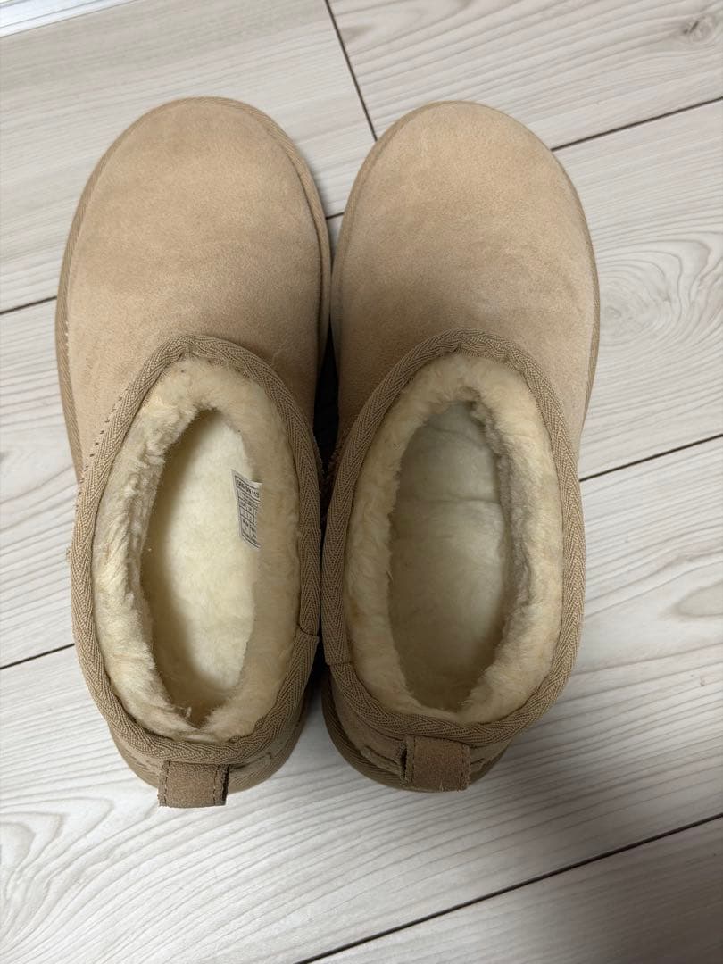 UGG チェスナット　ショートブーツ サイズ24