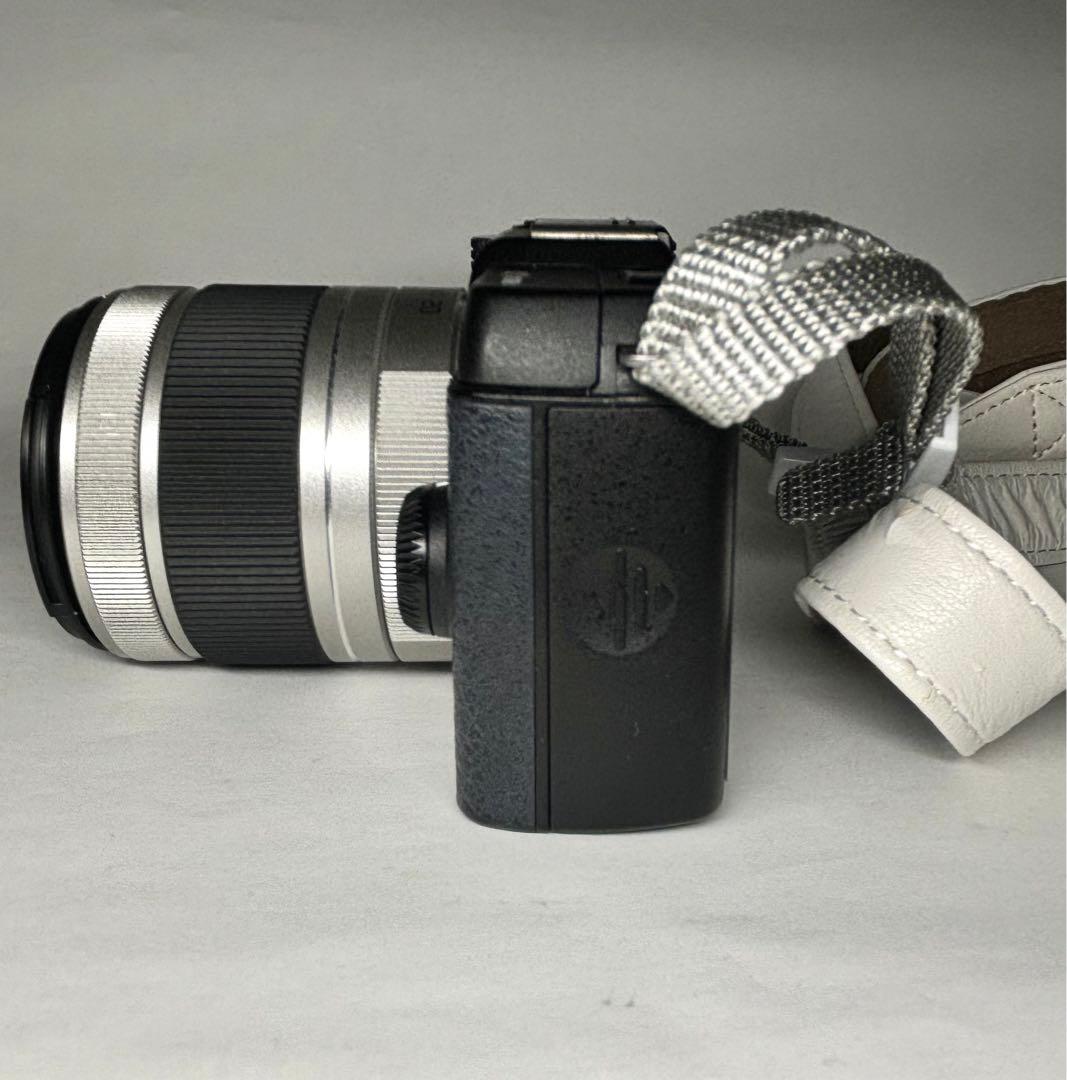 【ジャンク 】ペンタックスPENTAX Q10 専用ケース、バッテリー×5本