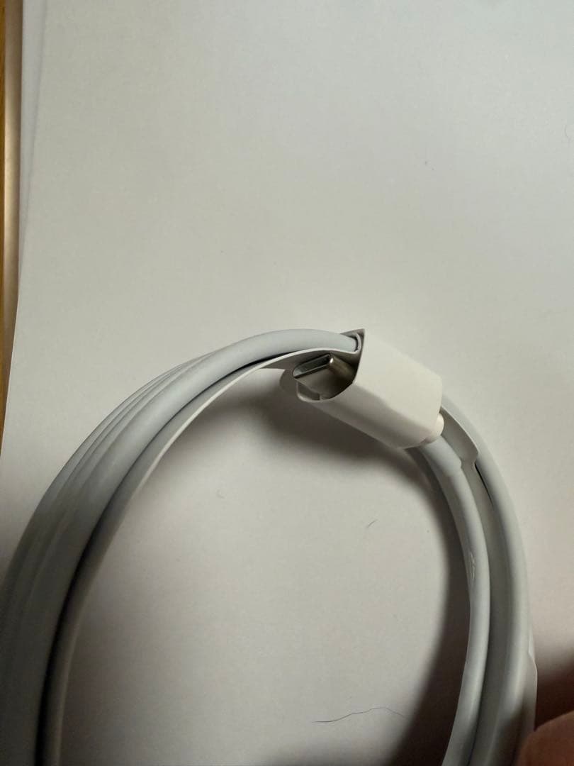 イヤホン Apple AirPodsPro2