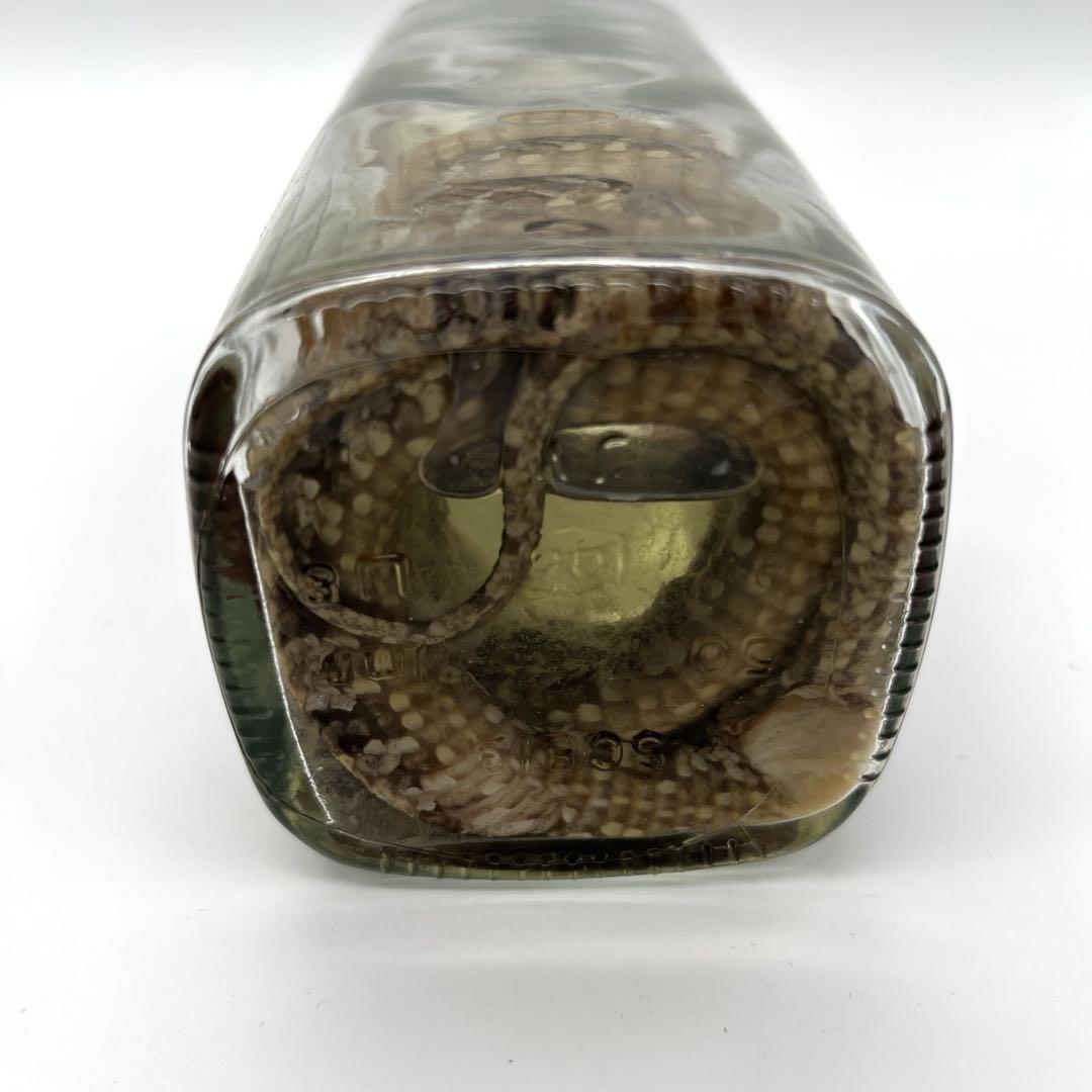 限定品 うるま ハブ酒 5年熟成 ハブ入り 保管品 ヘリオス酒造 沖縄ラム酒漬