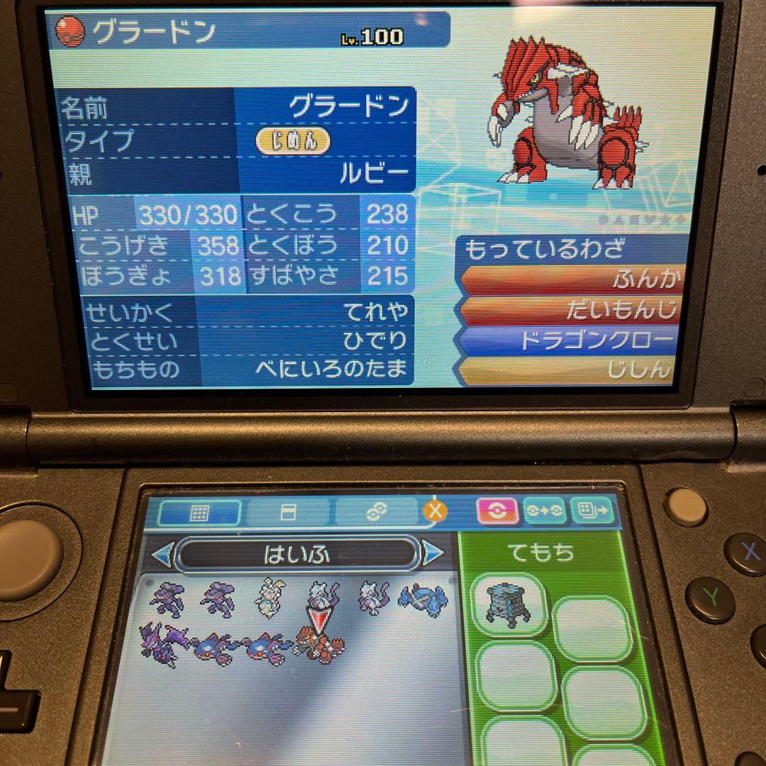 p*n様 ポケモン DS/3DS ゲームソフト