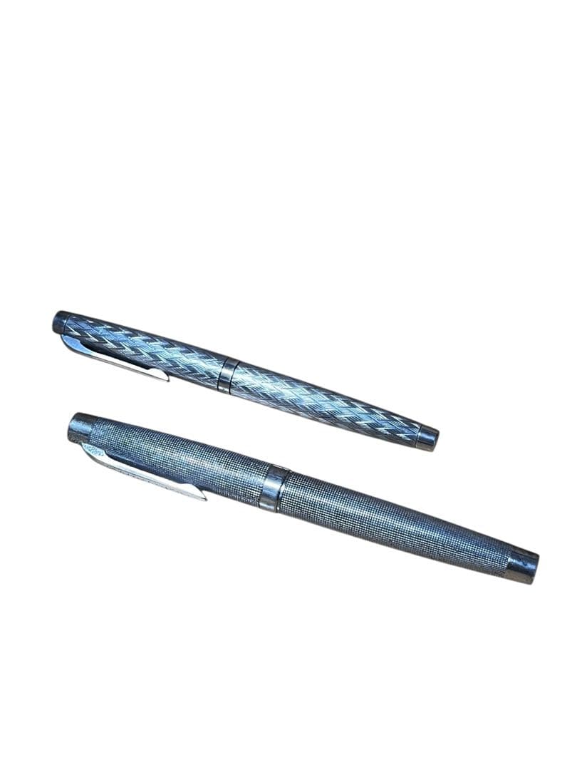 2本セット　プラチナ万年筆 プラチナ・プラチナ（中字） Pt. Alloy