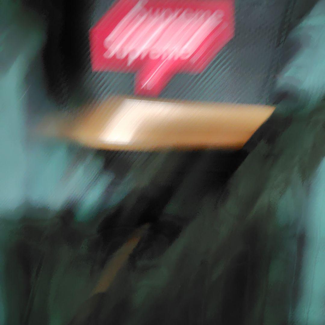 Supreme グリーン・ブラックチェック ナイロンジャケット