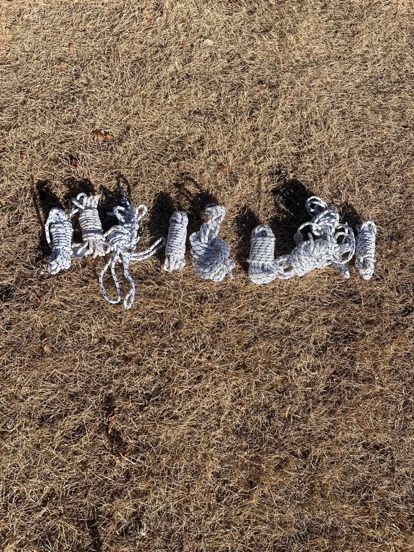 Coleman B C Dome 270 Plus テント　uv pro