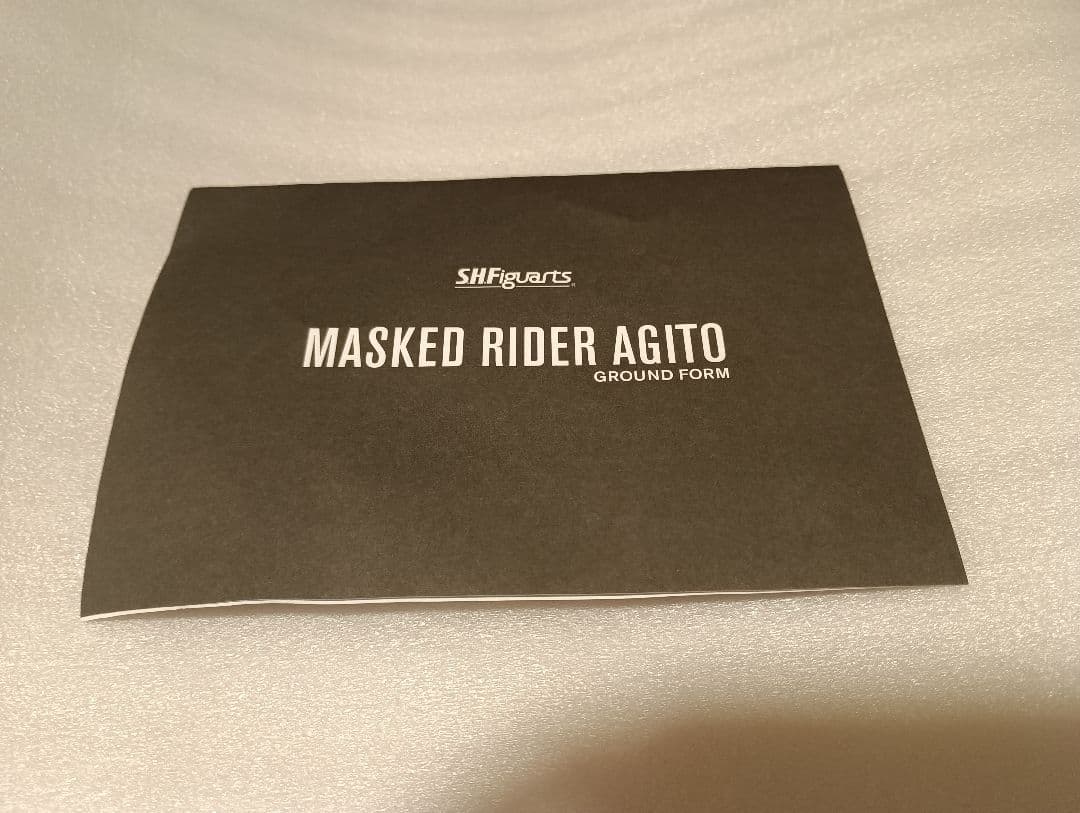 S.H.Figuarts 真骨彫製法 仮面ライダーアギト グランドフォーム