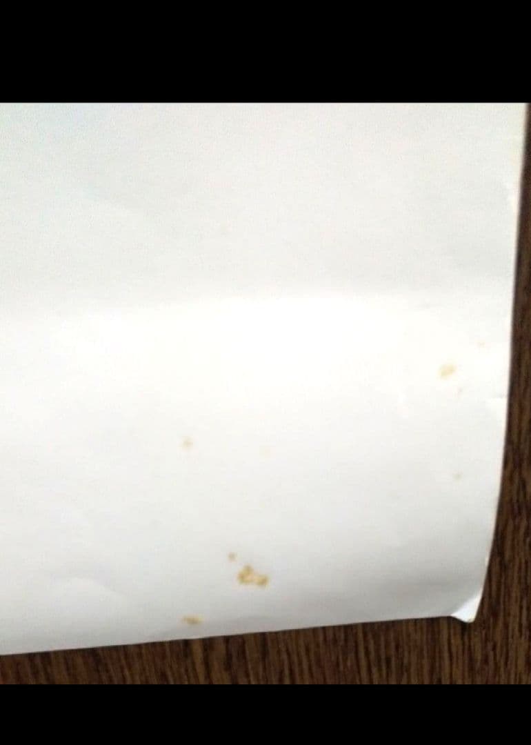 王家の紋章 大型ポスター２枚＋エジプト調の切り抜き２枚 ＋ おまけ付き