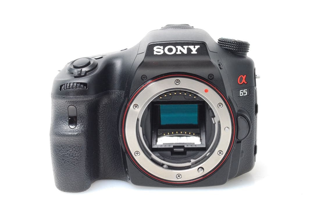 ✨SONY α65✨トリプルレンズ✨フル装備✨入門モデル✨超高画質✨超望遠✨美品